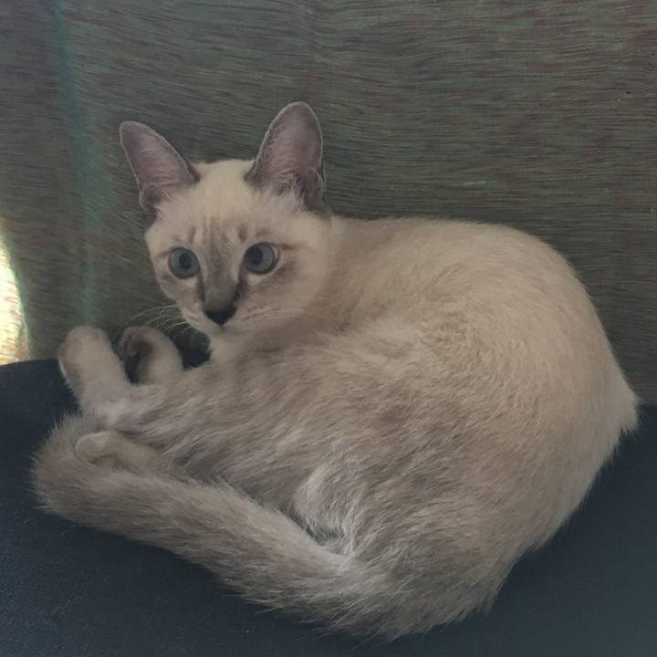 31ae3a39 e105 40d7 9271 7abb1ff82146 1536567052306