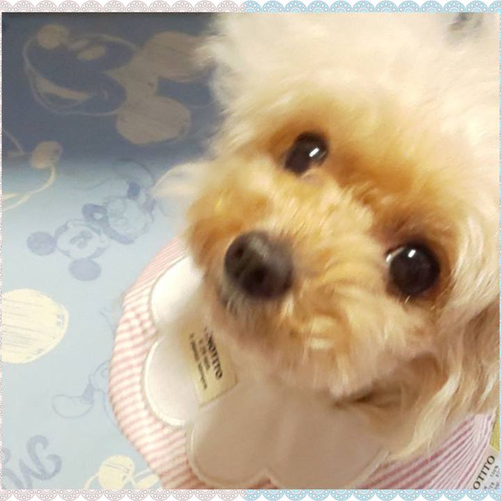 31ae3f88 25d7 4b7d 8a3a d4b576531d17 1636793402329