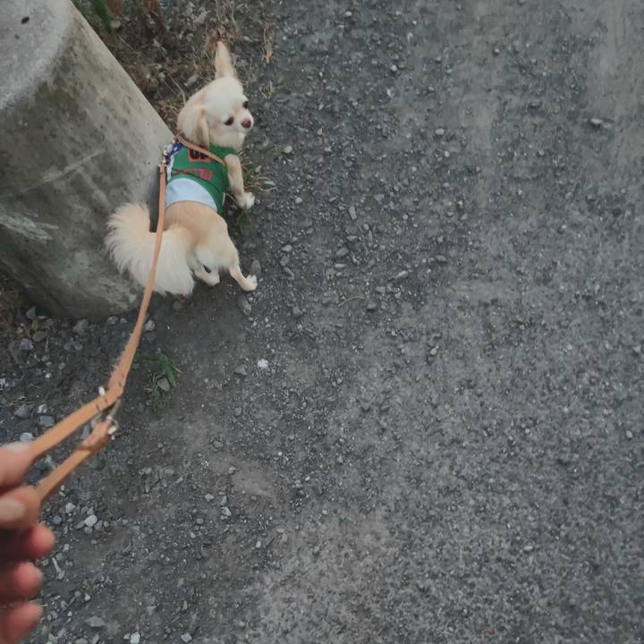 31ae786b 3eaa 4a66 9ad1 faa6b3f0b436 1690197421767