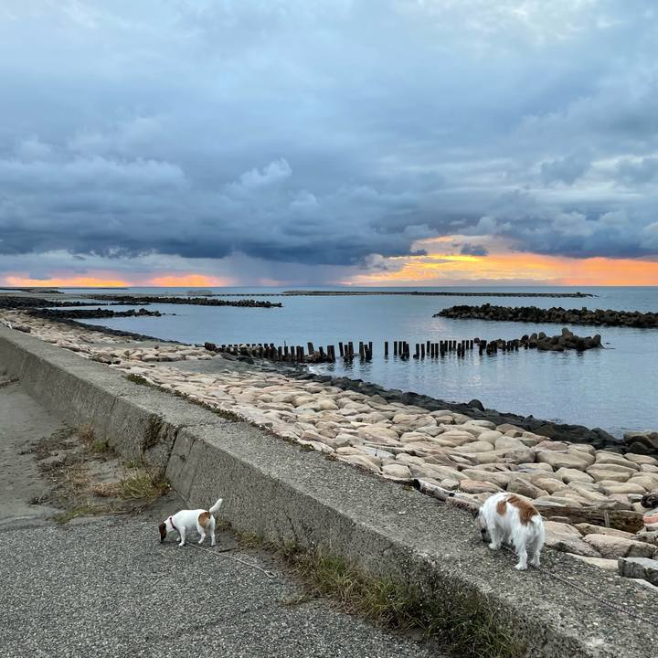 31ae8c2b acc3 49dc 8edb 23e8a93b675f 1635236092448