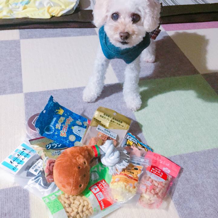 31ae9710 7ae9 4ed5 843a dcdd1fddf569 1535940541775