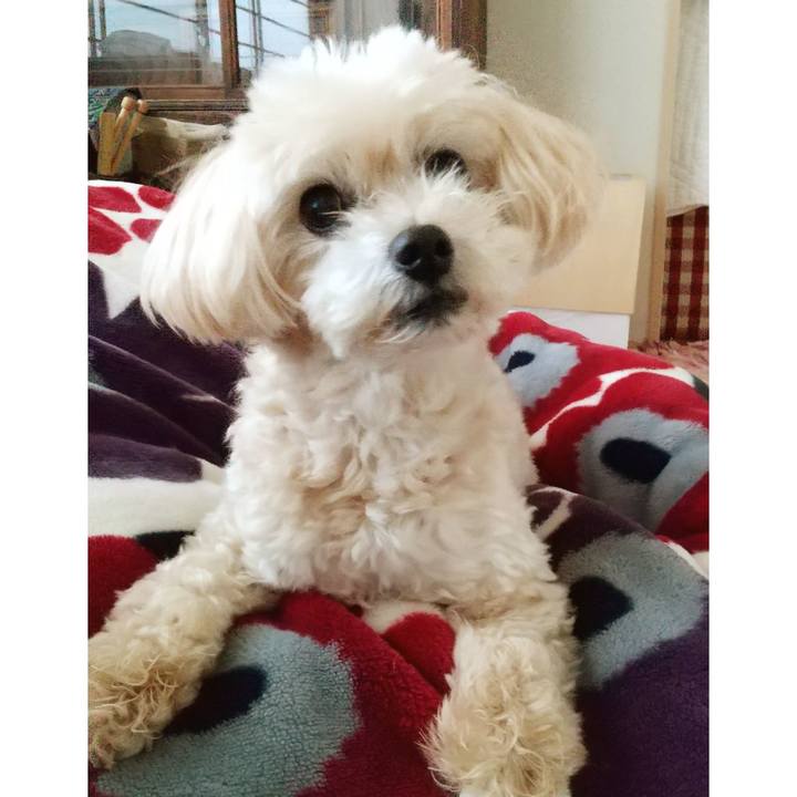 31ae982a 193f 4911 b220 5ca18bcbe937 1626595609176