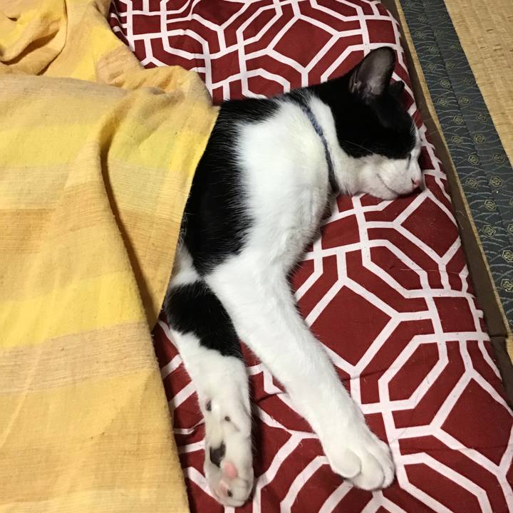 31aec86e b141 4827 9772 a0869c274f33 1637911646711