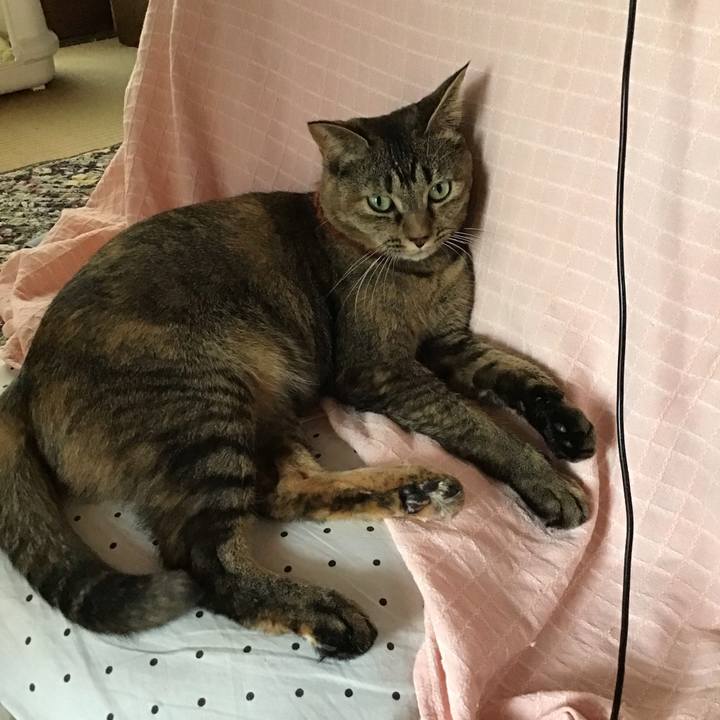 31aef0ca 471d 4a89 b9fd 797f71a7e894 1636183630368