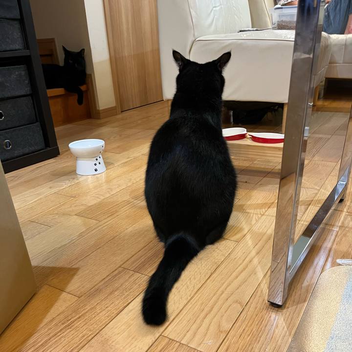 31aef24e 1cdd 4919 a30c 9e20871c86d0 1663510622545