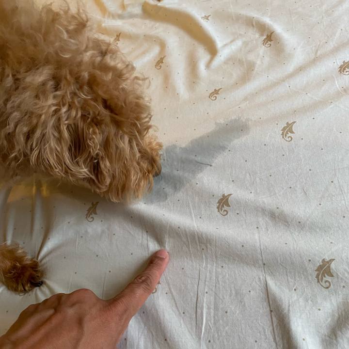 31aeff33 7230 4b81 8fb6 62929671339b 1687426620259