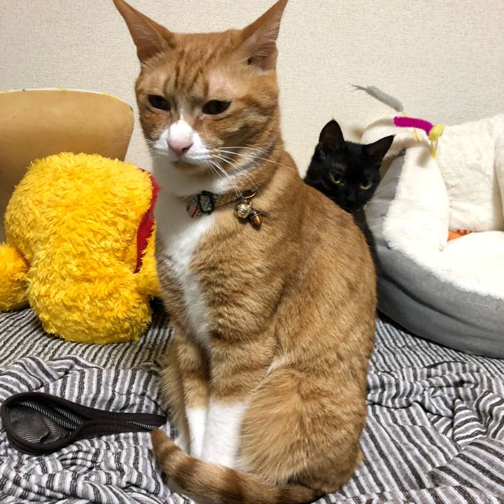 31af136b ca60 462d 9a5f c537d2d41f75 1625868233915