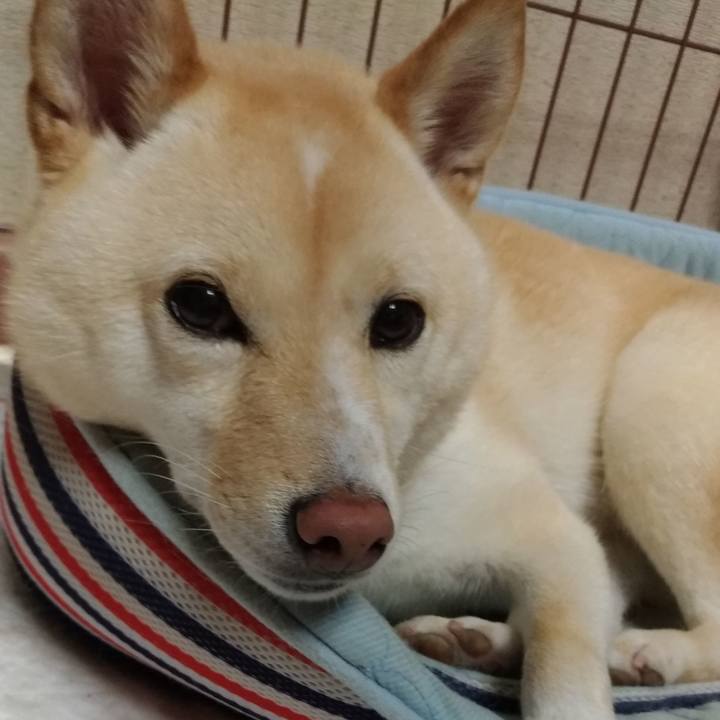 31af6db7 9c81 4eaf a3d6 077f66f982e4 1566994653085