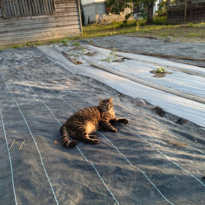 31af8528 77e8 4c32 9369 a960620c2290 1686042887834