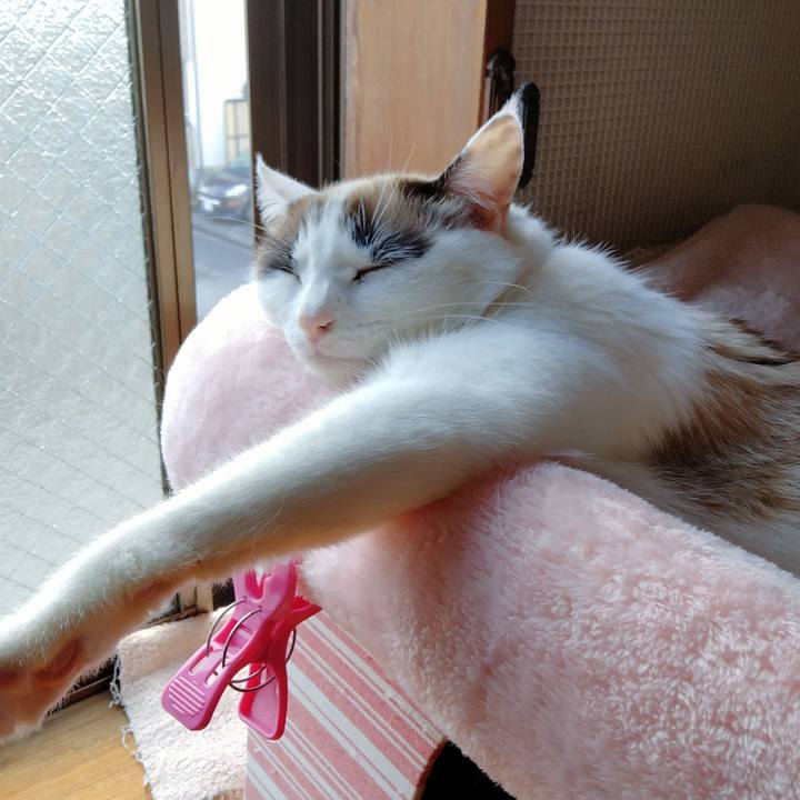 31af8f55 c412 45cd bd99 1899ca3eb95b 1677738816030