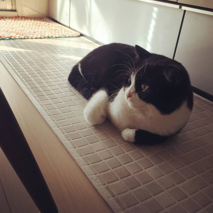 31af9f8c 0285 46c1 8dac b4defb396a5b 1572739938002