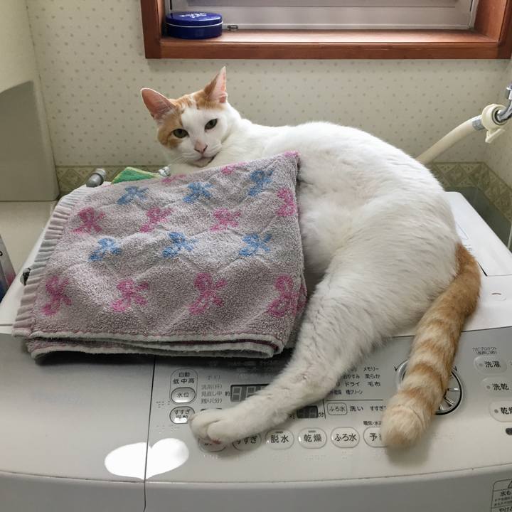 31afa97e f3b6 427c 804b a3b841952f54 1528526539260