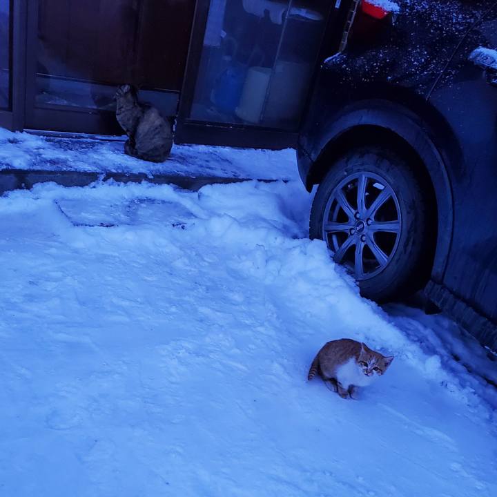 31afc17e 1c11 495f bfdb 75e660d92d8b 1706079213319