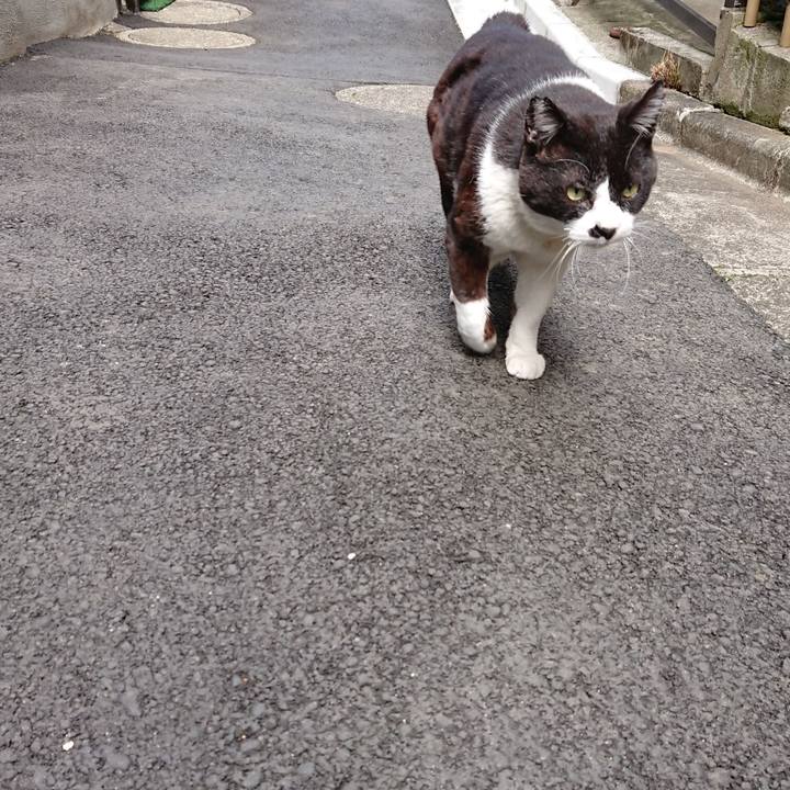 31afd00e 4435 4fc0 b80b 1ec15d4f18ee 1617433621929