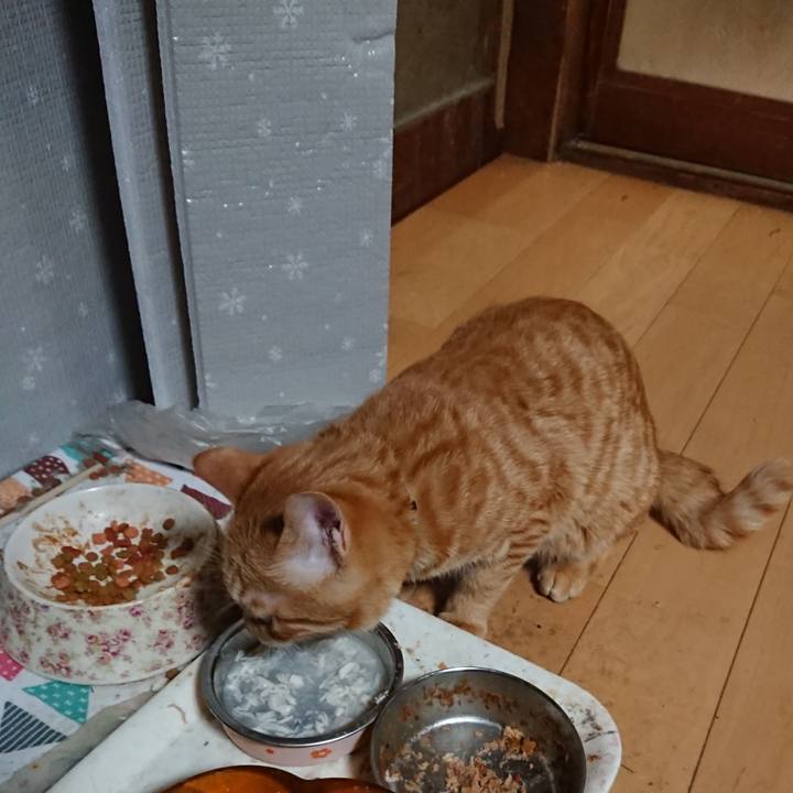 31afe102 9f4f 4f10 9a2e c71bb3f0cb74 1638615124562