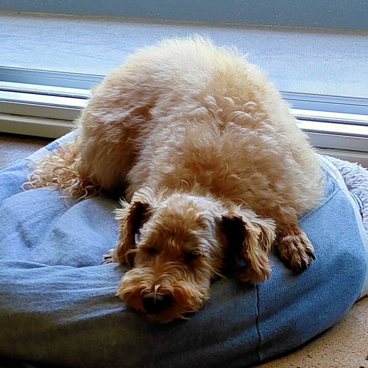 31afefa7 b2b1 4221 85f4 fdeed9a92279 1593908125573