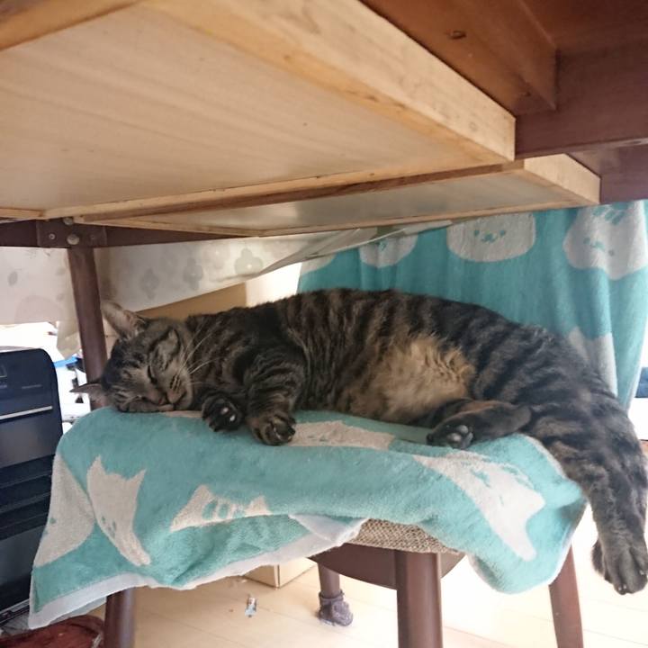 31b03072 7b6a 4fb3 92a0 a60b92b7efc3 1652912536824