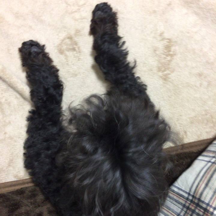 31b03e8e 567e 4713 bbe8 caf2d3763457 1516832074455