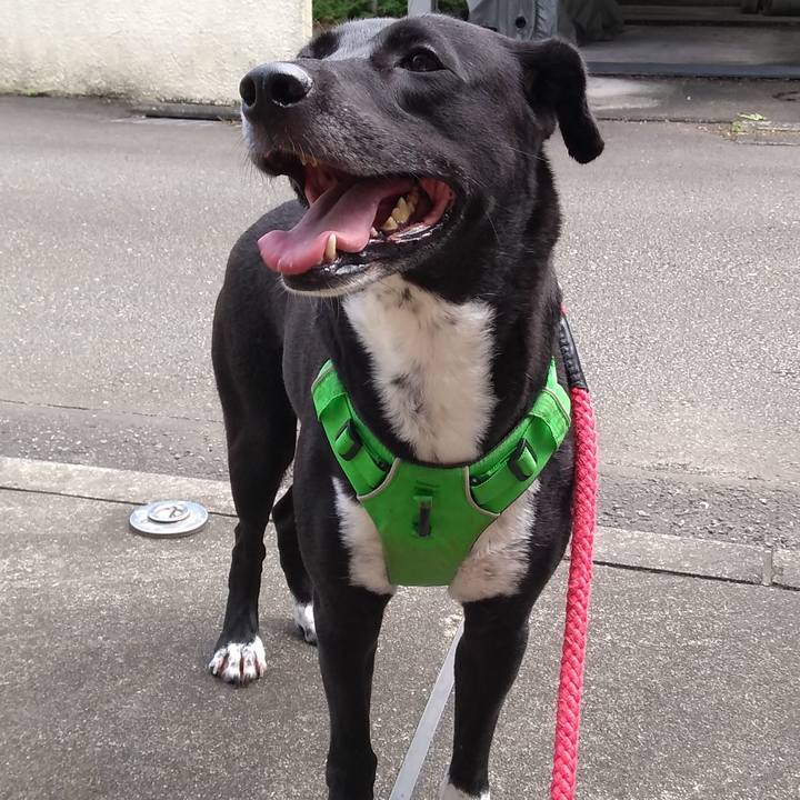 31b054c0 1b59 4b5a b5af a2c3c9563933 1629354516630