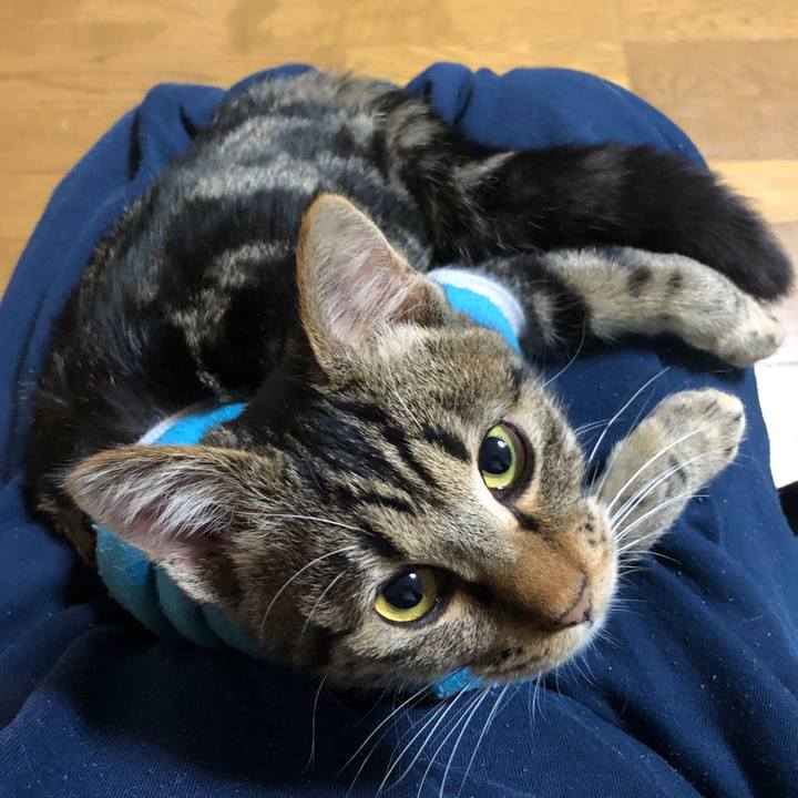 31b06303 42af 472e b238 4a4e1af72a43 1736513310061