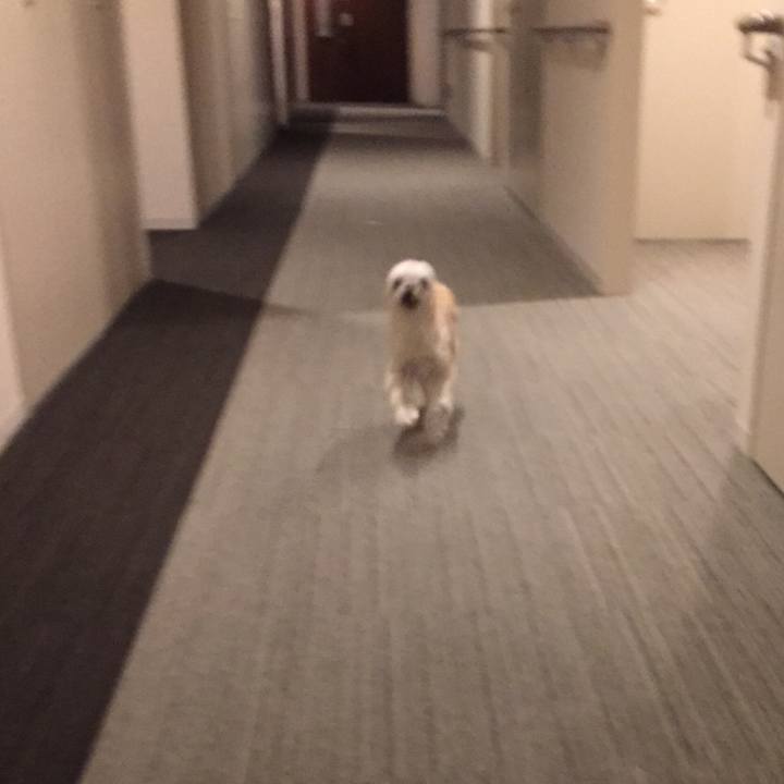 31b072db 5d87 408c b1c0 282f4de665ad 1563964769015