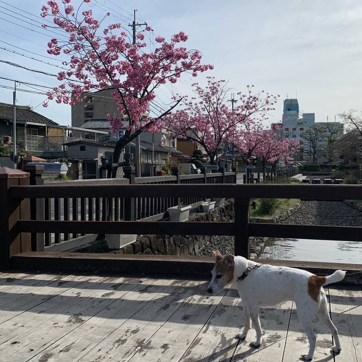 31b07b83 aaf0 4615 97fe 4b494bddcb09 1616201212611