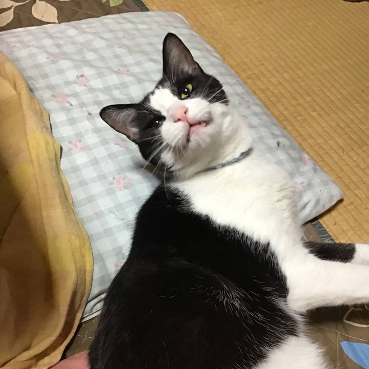 31b0858f 2ca7 45ac 814c 89a1dece9494 1686058289189