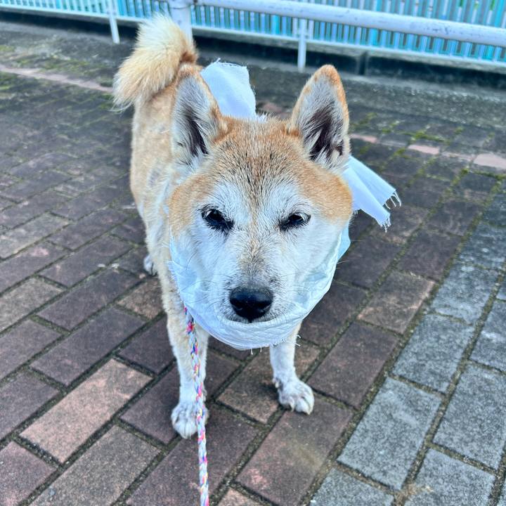 31b0a3ee 9165 473e ac9a 2ab80ba20b80 1764477960688