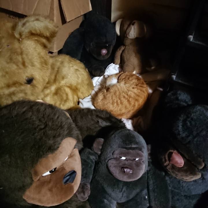 31b0d50f 43a8 42f1 826a 3ab5234f8279 1604574173985