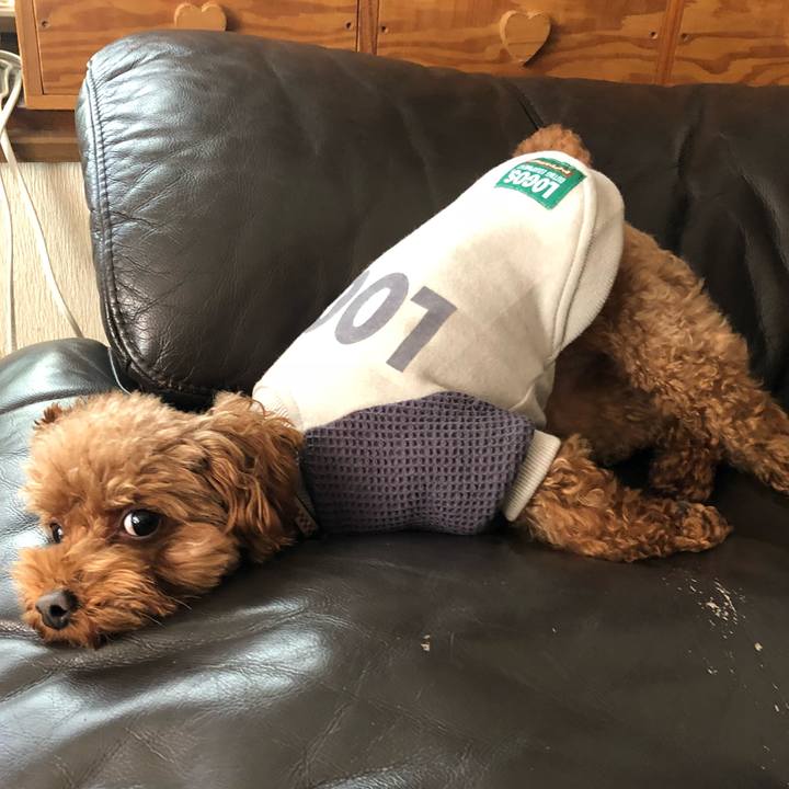 31b0e351 87a9 486b 88e6 2a728c02246a 1549232770566