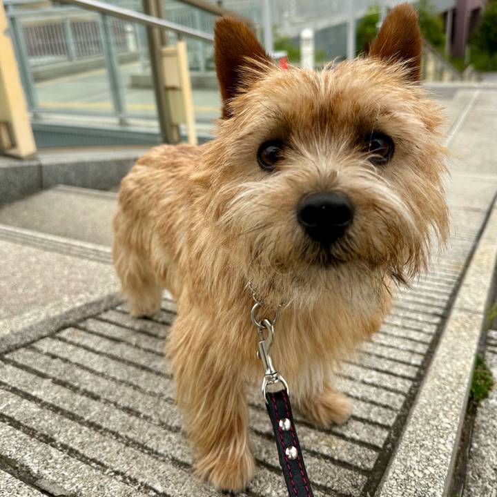 31b0e692 11e8 4437 813b 91bf2366d40f 1746165275179