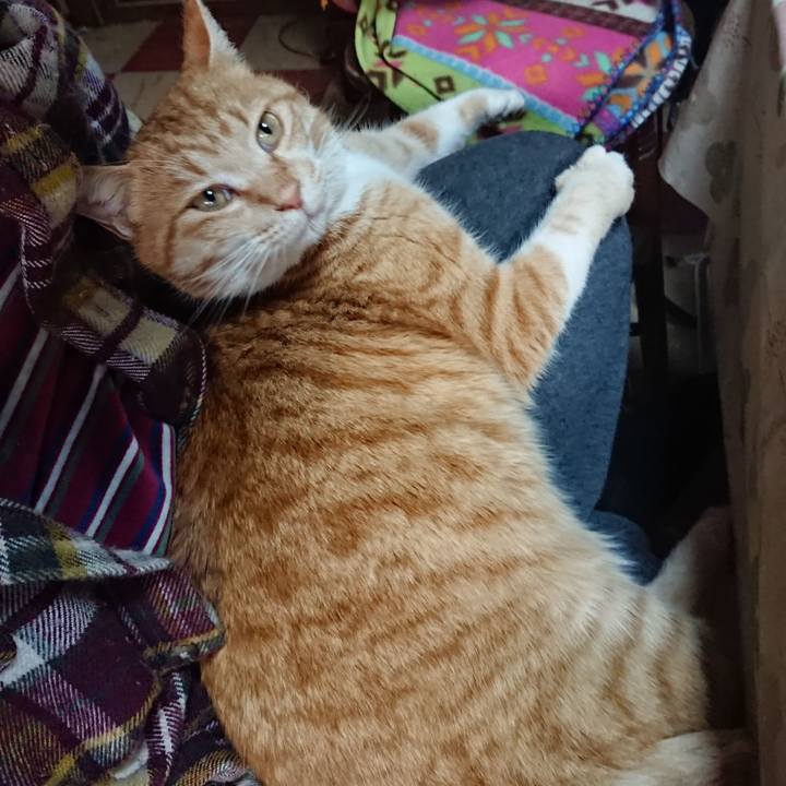 31b0fd59 11a7 4843 8b60 d21a5b9f6eb8 1579403142674