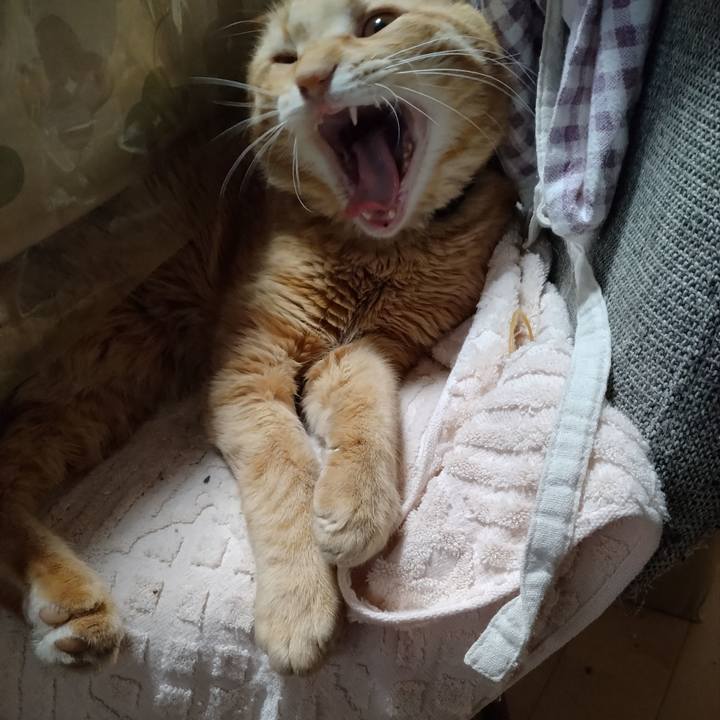 31b11e27 dc03 4889 8c95 0d970b3e2cf8 1681012294482