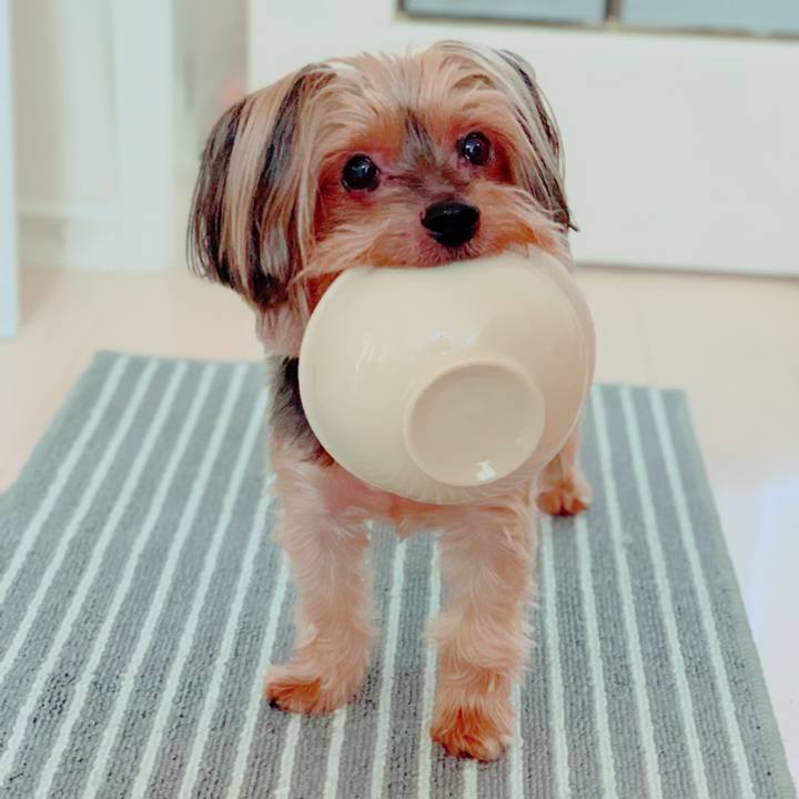 31b15b25 e440 470d 85e9 60447bcd3675 1598828196328