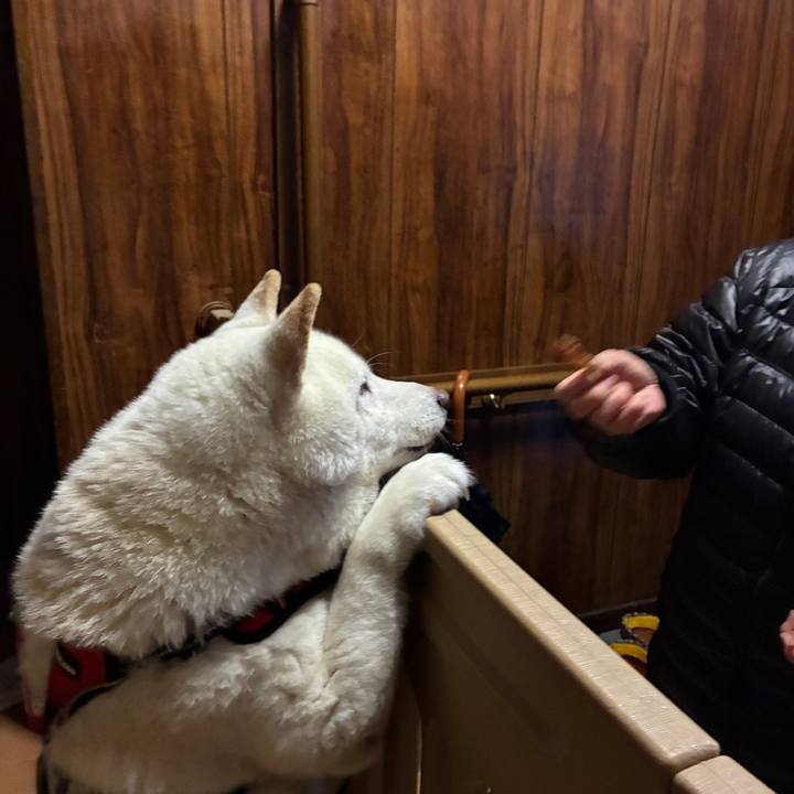 31b168da e83d 4deb 9f1a 0c659afd1ce7 1768202491474