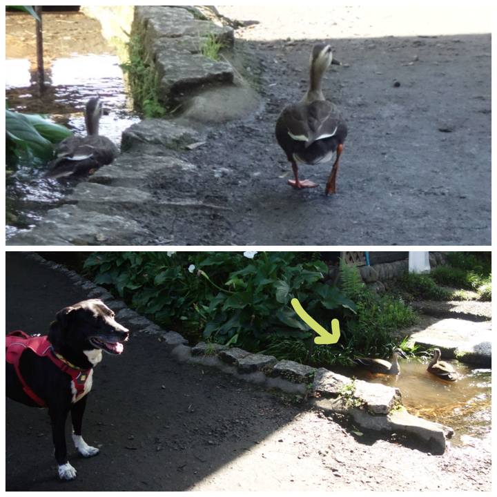 31b17422 fd04 4437 af9a f65810e7b26b 1684629266496