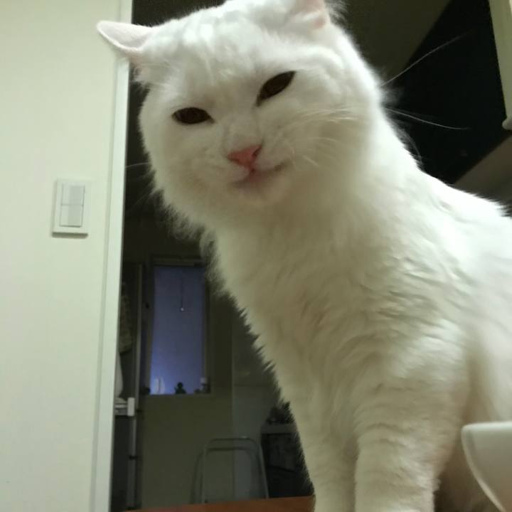 31b1762a 3067 4598 afc2 9365fa2766ee 1525347408270