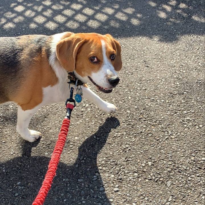 31b184c6 d147 4812 ab54 da06779df724 1611926863787