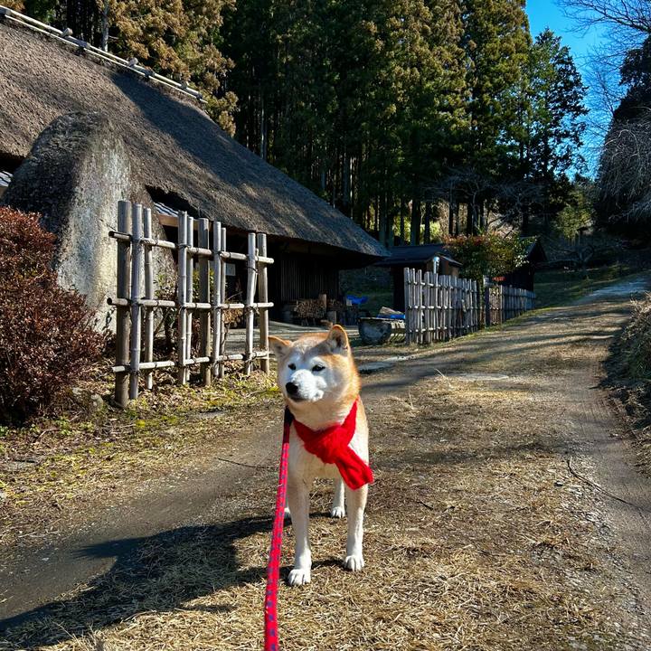 31b18ed3 d546 455a 95fa f627bb9ecf4f 1771666877521