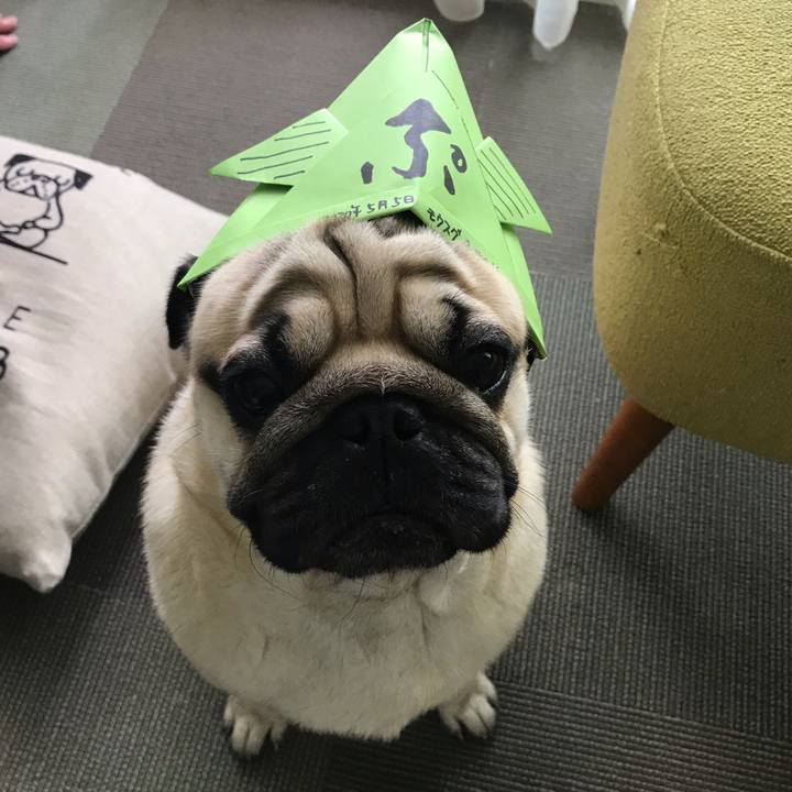 31b19116 b520 44a5 857f 2751b03b249a 1588656853908