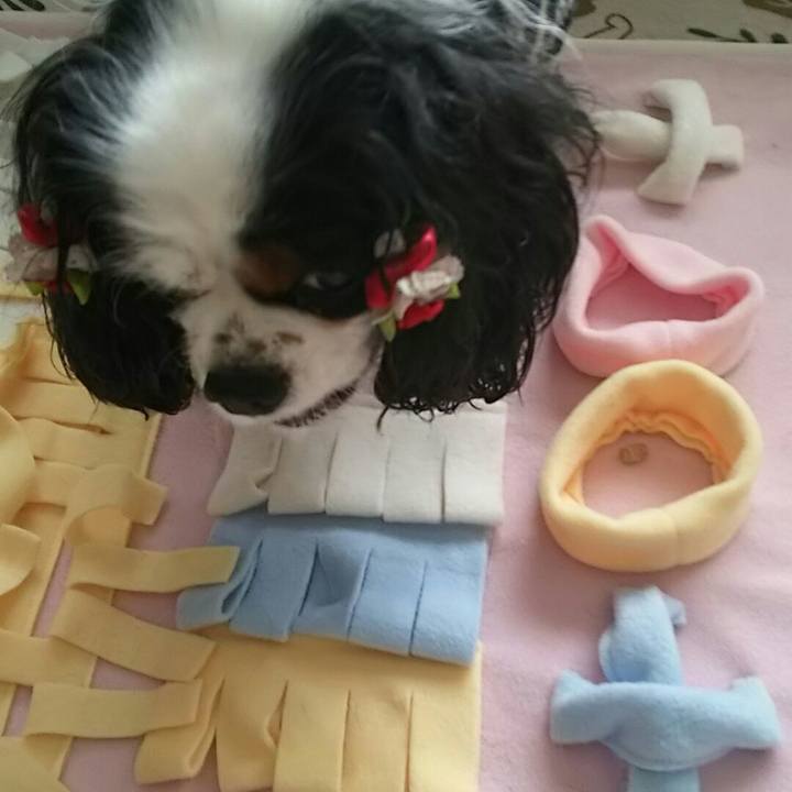 31b1aa46 6b05 4e0e 9d8a 7f23a534c916 1541480007827