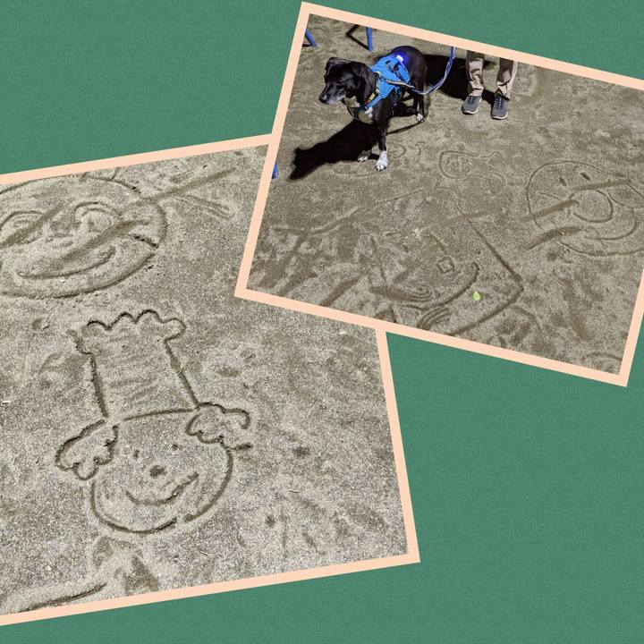 31b1cdf1 678d 4e81 b204 6cec0940c3c9 1697022932193