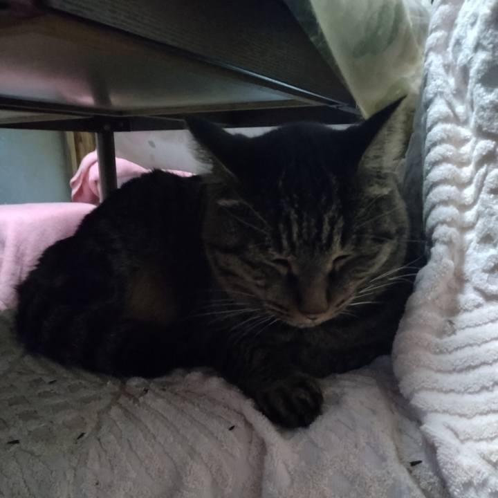 31b296f3 1d8f 4a0b 9b30 016077eb7ecc 1668808755503