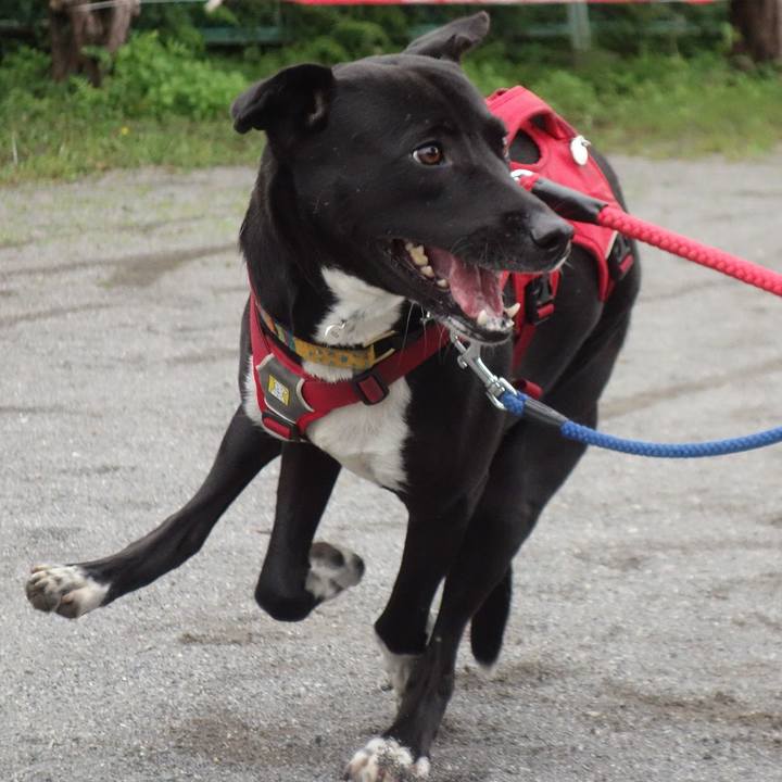 31b2b208 c406 4b3b a6b8 cd72bd24eb78 1590111934936