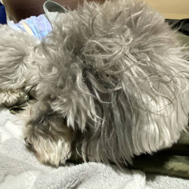 31b2d9fc ac2b 494f aa79 a774312854ba 1614734762530