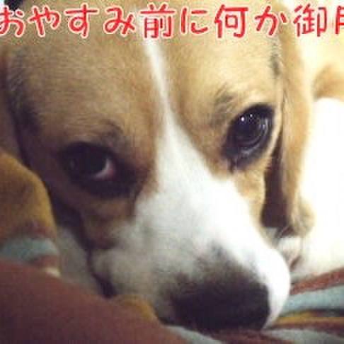 31b2f1b2 6be0 4e6d b5e7 1f28e92b45b2 1721254716017