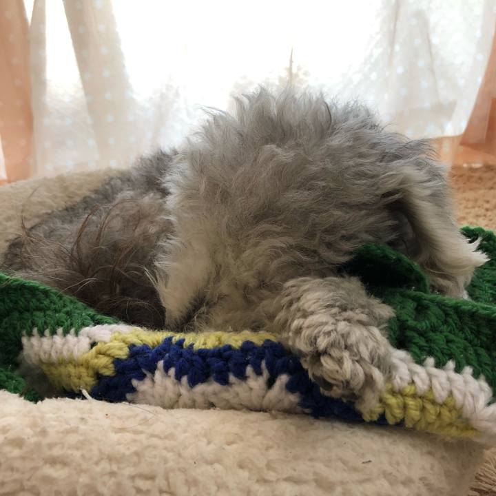 31b3176b eb80 4e33 883e efd0c262b17e 1608974272577