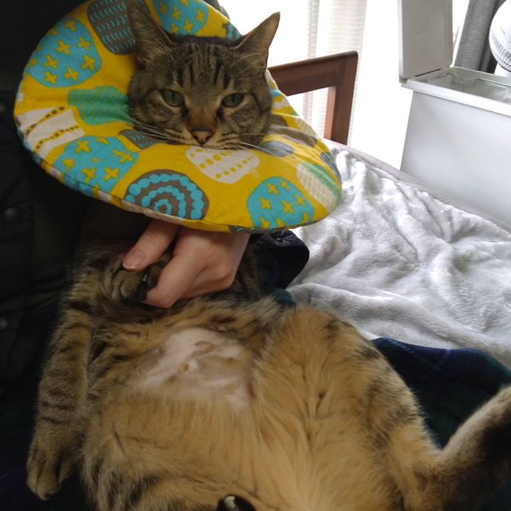 31b32178 7a1b 40c6 9586 9a20409c3ef1 1734061307633