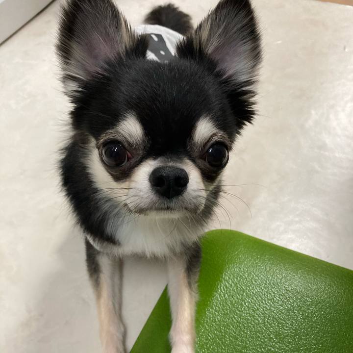 31b323bc 4b6d 41cf b355 e6ad2769351f 1618611810247