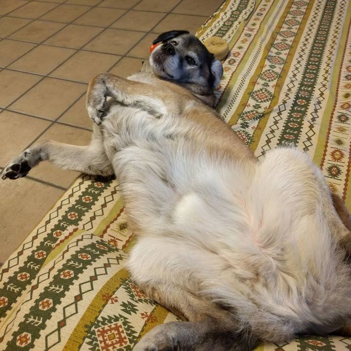 31b329e0 2962 48c1 96de 60aa9d323dad 1527668758548